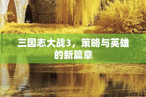 三国志大战3，策略与英雄的新篇章