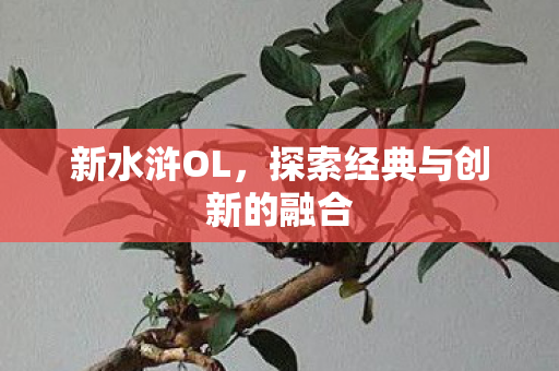 新水浒OL，探索经典与创新的融合