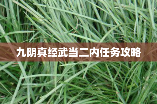九阴真经武当二内任务攻略