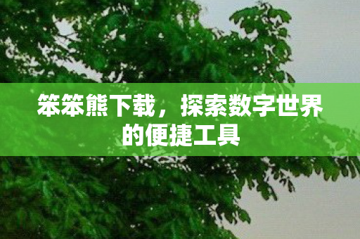 笨笨熊下载，探索数字世界的便捷工具
