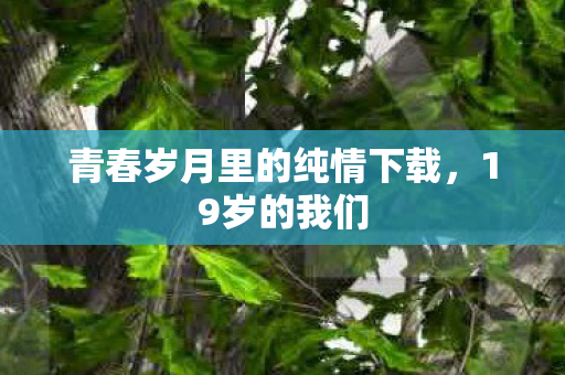 青春岁月里的纯情下载，19岁的我们