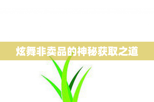 炫舞非卖品的神秘获取之道