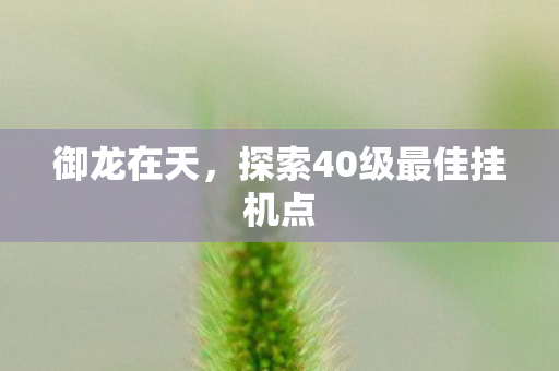 御龙在天,探索40级最佳挂机点 御龙在天,探索40级最佳挂机点