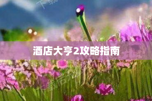 酒店大亨2攻略指南
