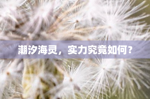 潮汐海灵，实力究竟如何？
