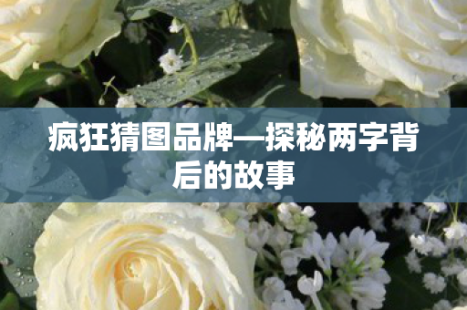 疯狂猜图品牌—探秘两字背后的故事