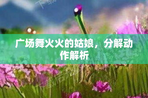 广场舞火火的姑娘，分解动作解析