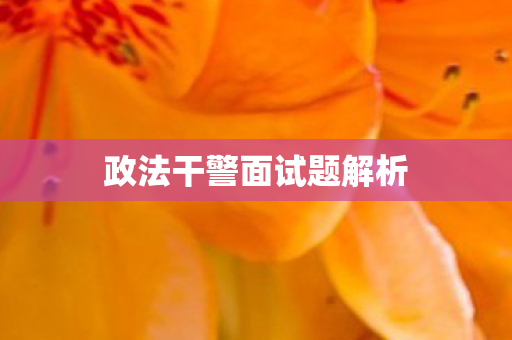 政法干警面试题解析