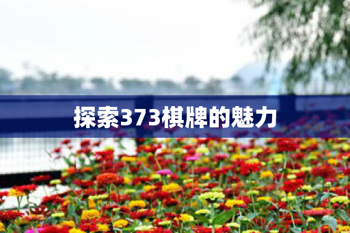 探索373棋牌的魅力