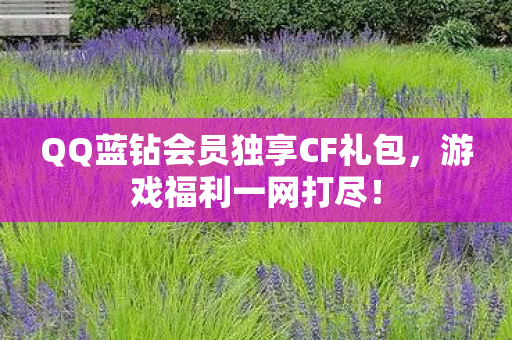 QQ蓝钻会员独享CF礼包，游戏福利一网打尽！