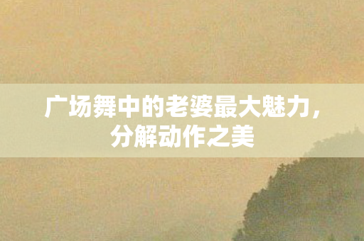 广场舞中的老婆最大魅力，分解动作之美