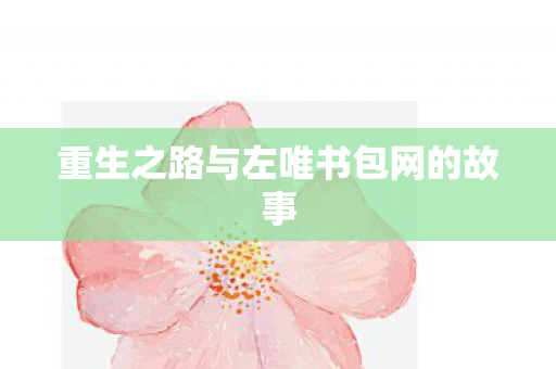 重生之路与左唯书包网的故事 重生之路与左唯书包网的故事