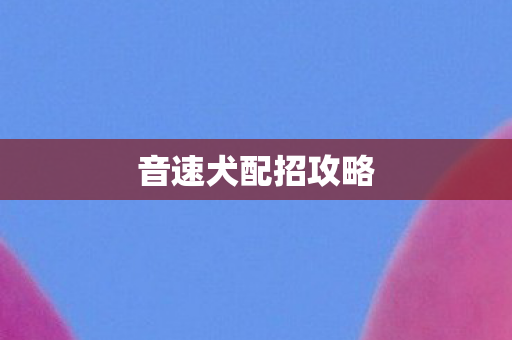 音速犬配招攻略