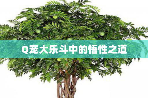 Q宠大乐斗中的悟性之道