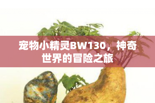 宠物小精灵BW130，神奇世界的冒险之旅