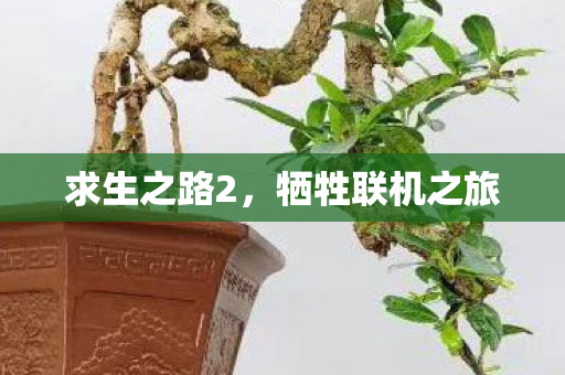 求生之路2，牺牲联机之旅