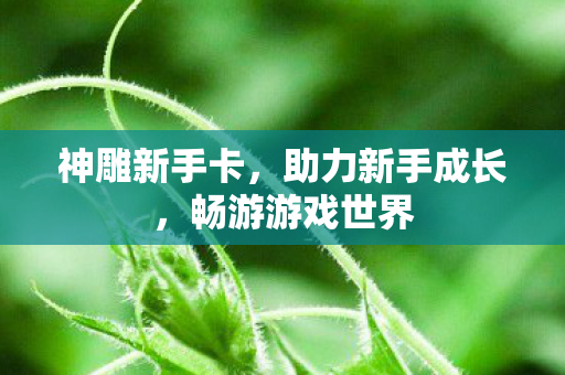 神雕新手卡，助力新手成长，畅游游戏世界