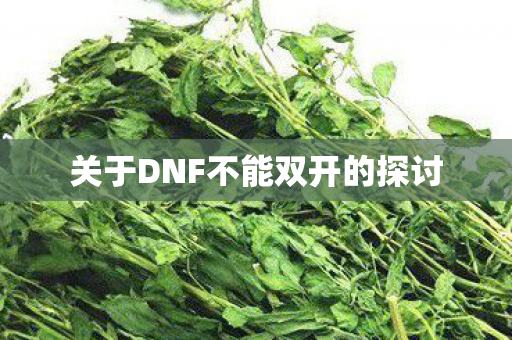 关于DNF不能双开的探讨