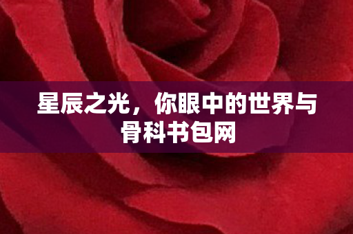 星辰之光，你眼中的世界与骨科书包网