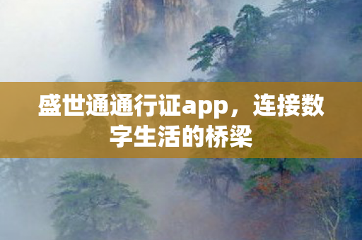 盛世通通行证app，连接数字生活的桥梁
