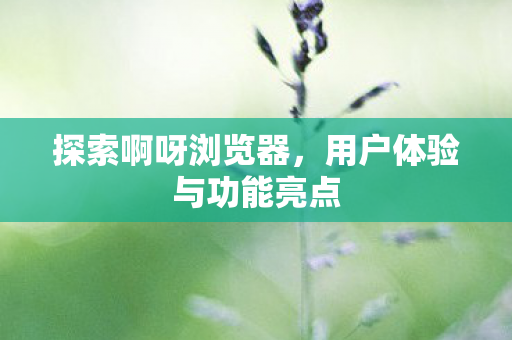 探索啊呀浏览器，用户体验与功能亮点