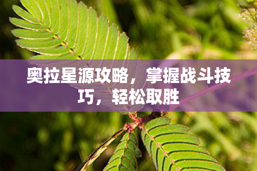 奥拉星源攻略，掌握战斗技巧，轻松取胜
