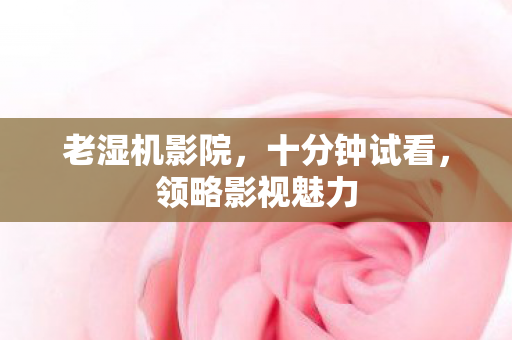 老湿机影院，十分钟试看，领略影视魅力