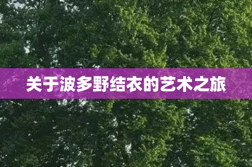 关于波多野结衣的艺术之旅