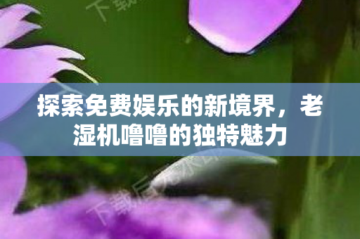 探索免费娱乐的新境界，老湿机噜噜的独特魅力