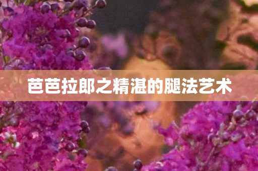 芭芭拉郎之精湛的腿法艺术
