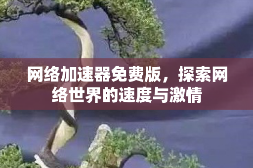网络加速器免费版，探索网络世界的速度与激情