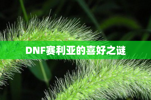 DNF赛利亚的喜好之谜