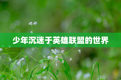少年沉迷于英雄联盟的世界