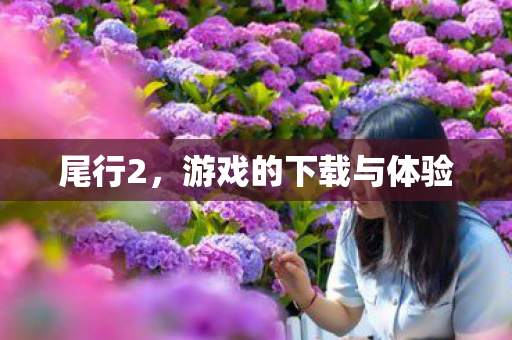 尾行2，游戏的下载与体验