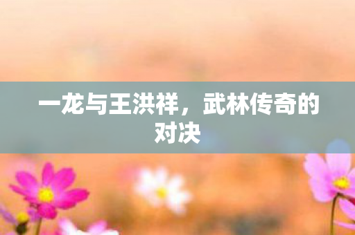 一龙与王洪祥，武林传奇的对决