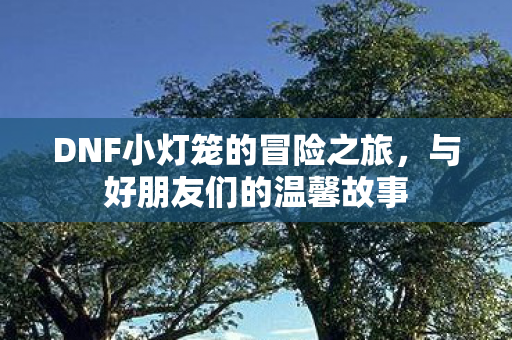 DNF小灯笼的冒险之旅，与好朋友们的温馨故事