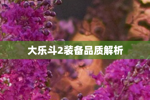 大乐斗2装备品质解析