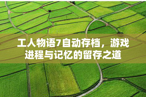工人物语7自动存档,游戏进程与记忆的留存之道 工人物语7自动存档,游戏进程与记忆的留存之道