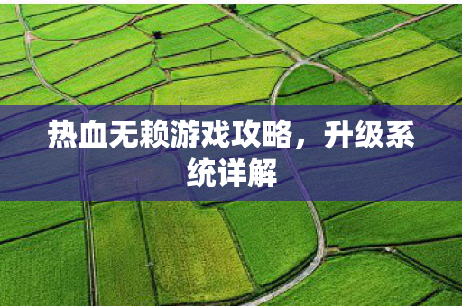 热血无赖游戏攻略,升级系统详解 热血无赖游戏攻略,升级系统详解