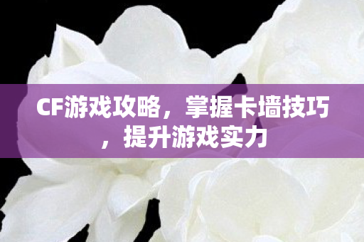 CF游戏攻略，掌握卡墙技巧，提升游戏实力