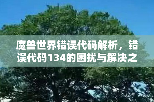 魔兽世界错误代码解析,错误代码134的困扰与解决之道 魔兽世界错误代码解析,错误代码134的困扰与解决之道
