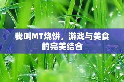 我叫MT烧饼，游戏与美食的完美结合