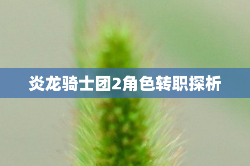 炎龙骑士团2角色转职探析 炎龙骑士团2角色转职探析