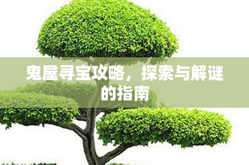 鬼屋寻宝攻略，探索与解谜的指南