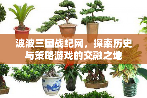 波波三国战纪网,探索历史与策略游戏的交融之地 波波三国战纪网,探索历史与策略游戏的交融之地