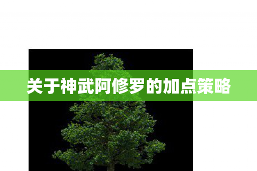 关于神武阿修罗的加点策略 关于神武阿修罗的加点策略
