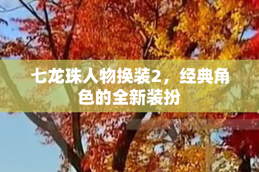 七龙珠人物换装2，经典角色的全新装扮
