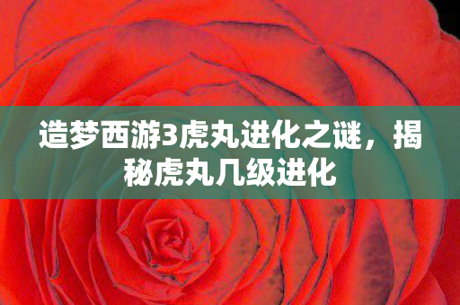 造梦西游3虎丸进化之谜，揭秘虎丸几级进化
