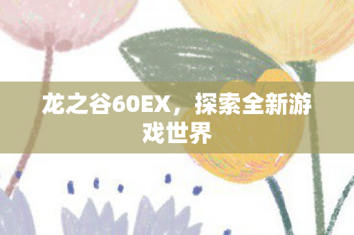 龙之谷60EX，探索全新游戏世界