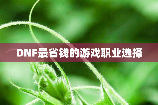DNF最省钱的游戏职业选择